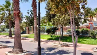 Apartment on Bajamar Street photo 28