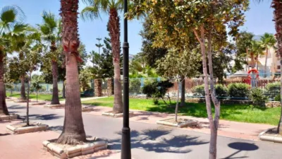 Apartment on Bajamar Street photo 24