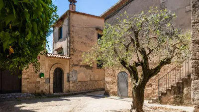 Rustic Finca on Carrer del Raval photo 18