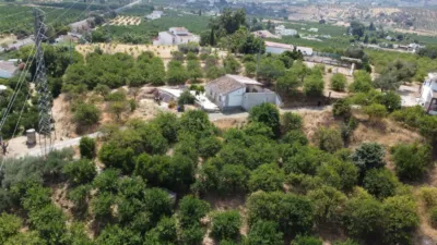 Rustic finca on Calle Diseminado Poligono 25 photo 7