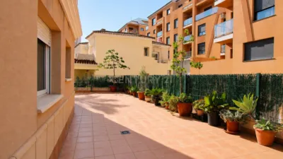 Apartment on Carrer de Segona Germania photo 2
