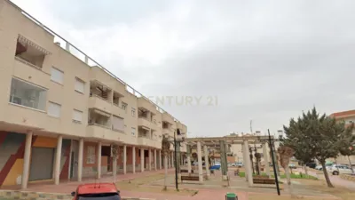 Pis - Vista 3