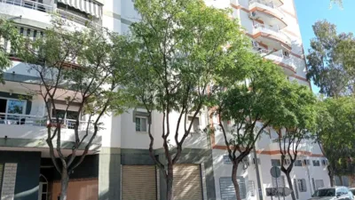 Apartment on Calle Colonia Sta. Isabel photo 4