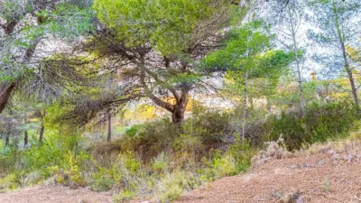 Chalet on Calle Tapiada-Marraix photo 9