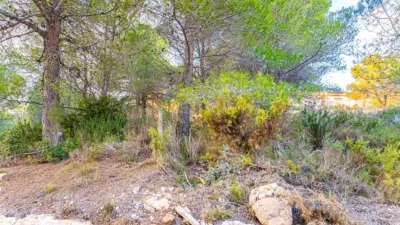 Chalet on Calle Tapiada-Marraix photo 7