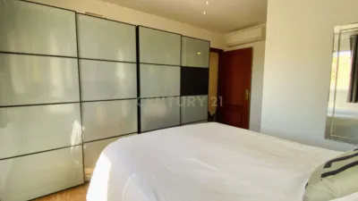 Apartment on Calle Glaucio photo 20