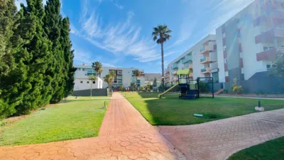 Apartment on C. Borda Street photo 27