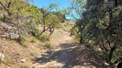 Rustic farm for sale on Calle Centenillos photo 4