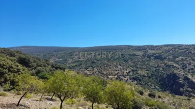 Rustic farm for sale on Calle Centenillos photo 7