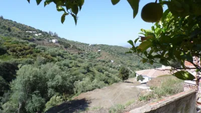 Rustic Finca in Sayalonga photo 5