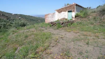 Rustic Finca in Sayalonga photo 6
