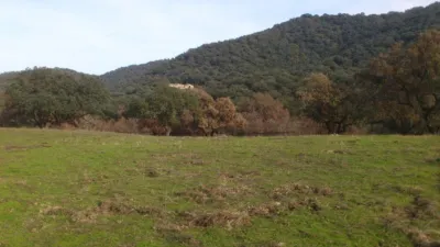 Rustic Finca in Almodóvar del Río photo 10