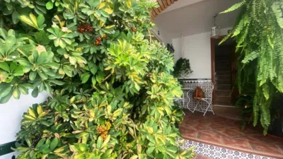 House in Canillas de Albaida photo 3