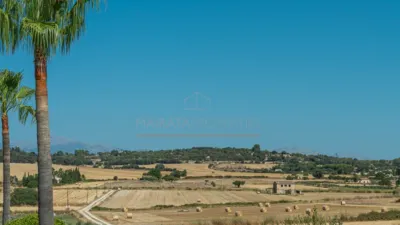 Rustic Finca in Sineu photo 20
