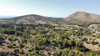 Finca rústica en venta en Sant Llorenç Des Cardassar, Sant Llorenç des Cardassar de 2.800.000 €