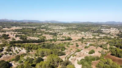 Finca rústica en venta en Sant Llorenç Des Cardassar, Sant Llorenç des Cardassar de 2.800.000 €