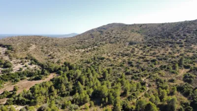 Finca rústica en venta en Sant Llorenç Des Cardassar, Sant Llorenç des Cardassar de 2.800.000 €