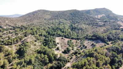 Finca rústica en venta en Sant Llorenç Des Cardassar, Sant Llorenç des Cardassar de 2.800.000 €