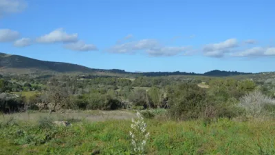 Finca rústica en venta en Sant Llorenç Des Cardassar, Sant Llorenç des Cardassar de 2.800.000 €