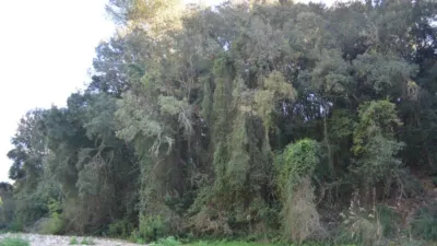 Finca rústica en venta en Sant Llorenç Des Cardassar, Sant Llorenç des Cardassar de 2.800.000 €