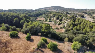 Finca rústica en venta en Sant Llorenç Des Cardassar, Sant Llorenç des Cardassar de 2.800.000 €