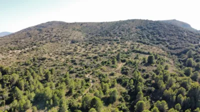 Finca rústica en venta en Sant Llorenç Des Cardassar, Sant Llorenç des Cardassar de 2.800.000 €