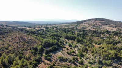 Finca rústica en venta en Sant Llorenç Des Cardassar, Sant Llorenç des Cardassar de 2.800.000 €