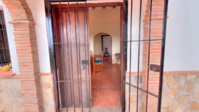 Rustic Finca in Almáchar photo 29