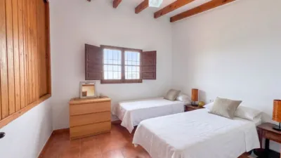 Rustic Finca in Almáchar photo 21