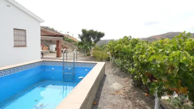 Finca rústica en Almáchar photo 3