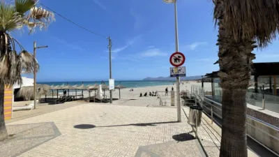 Apartment in Santa Margalida photo 22