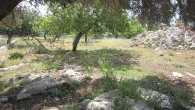 Rustic Finca in Son Servera photo 12