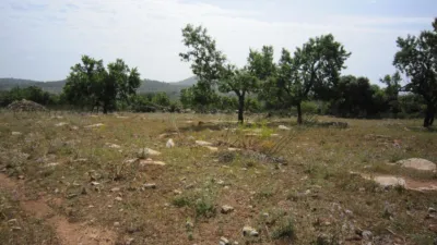Rustic Finca in Son Servera photo 9