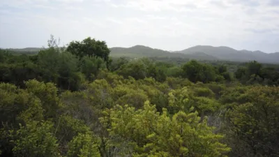 Rustic Finca in Son Servera photo 4