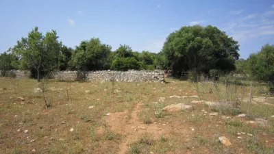 Rustic Finca in Son Servera photo 8