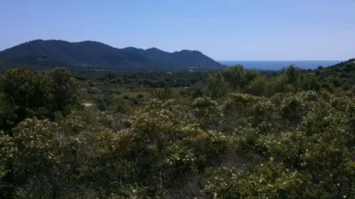 Rustic Finca in Son Servera photo 2