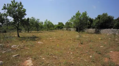 Rustic Finca in Son Servera photo 7