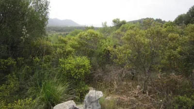 Rustic Finca in Son Servera photo 6