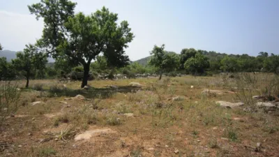 Rustic Finca in Son Servera photo 10