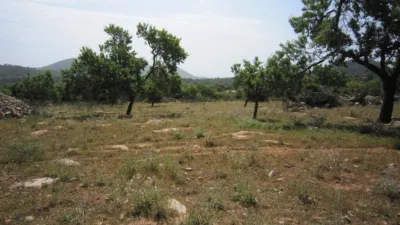 Rustic Finca in Son Servera photo 11