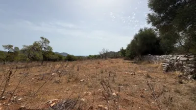 Rustic Finca in Son Servera photo 18