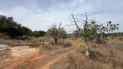 Rustic Finca in Son Servera photo 14