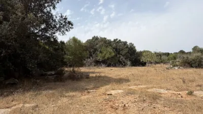 Rustic Finca in Son Servera photo 15