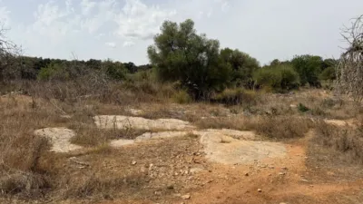Rustic Finca in Son Servera photo 13