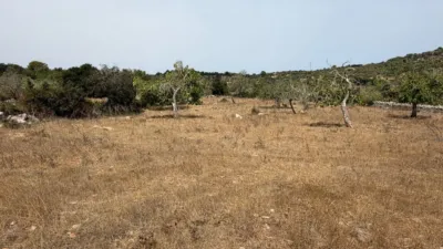 Rustic Finca in Son Servera photo 16