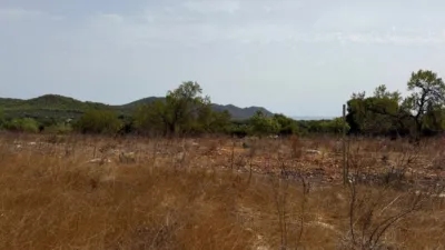 Rustic Finca in Son Servera photo 17