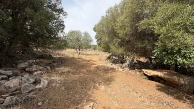Rustic Finca in Son Servera photo 20