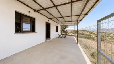 Rustic finca in Almáchar photo 10