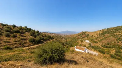 Rustic finca in Almáchar photo 14