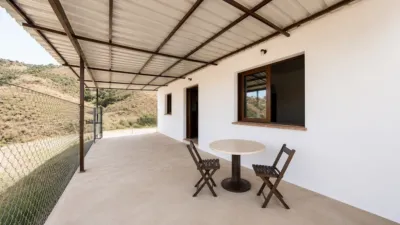Rustic finca in Almáchar photo 3
